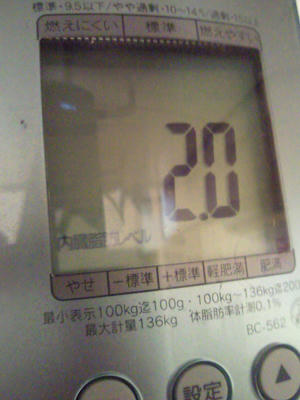 内臓脂肪