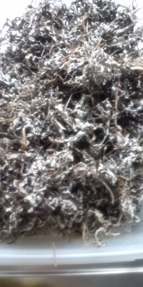 130326_015532.jpg