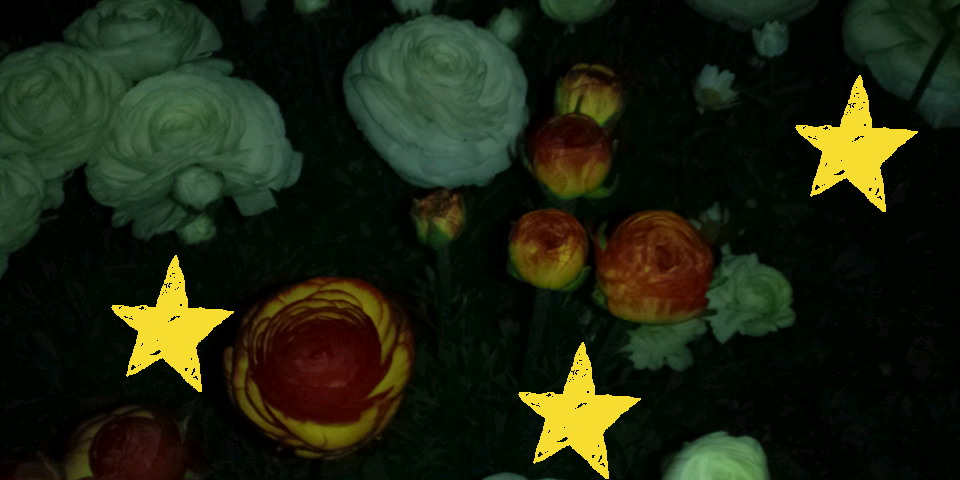 130417_201559.JPG