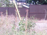 P9280241.JPG