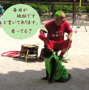 緑がラッキーカラーですか？