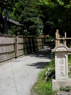 小道