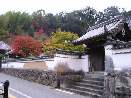 光明禅寺