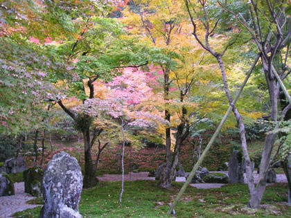 紅葉の光明禅寺