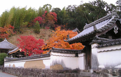 光明禅寺