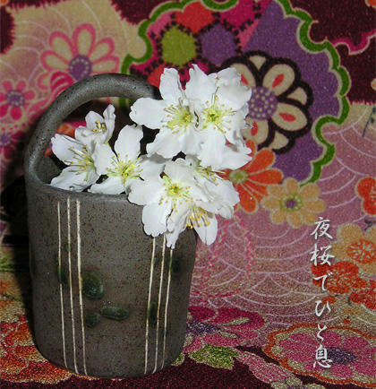 桜の開花