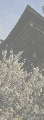 梅の開花