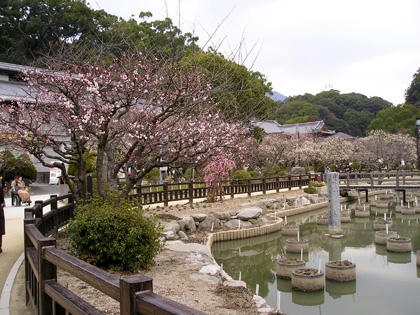 梅園
