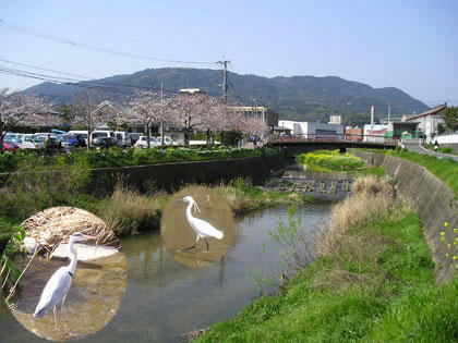 太宰府市役所裏手