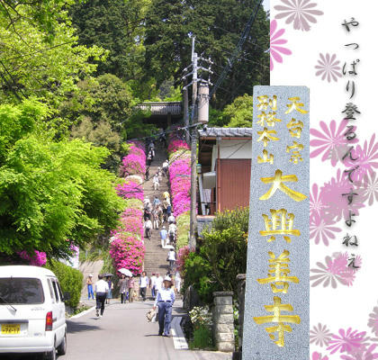 大興善寺