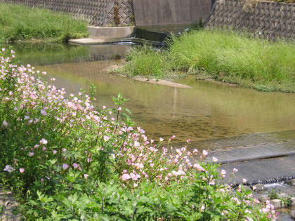 御笠川