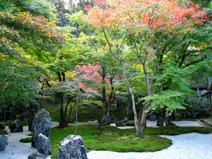 紅葉の光明禅寺