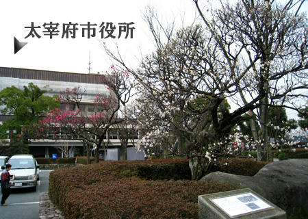 太宰府の梅