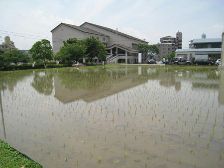 太宰府市図書館