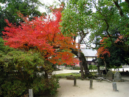 太宰府市観世音寺