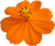 autumn2.gif