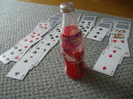IMGP0804.JPG
