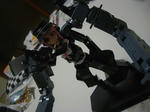IMGP0997.JPG
