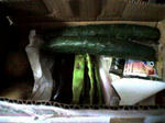 野菜