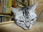 P1000016.jpg