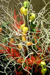 kankituikebana.jpg