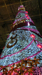 xmas081123.jpg