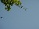 DSC00341.JPG
