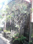 P1000007.JPG