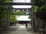 20090519123220.jpg