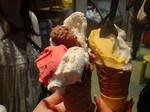 20090531181010.jpg