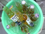 20090613155339.jpg