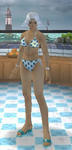 psu20080519e1bikini.jpg