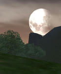 moe070314.jpg