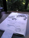 070813-1.JPG