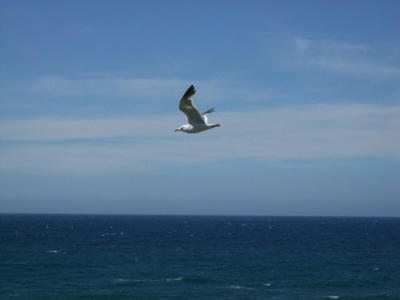 DSCF0082.JPG