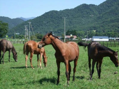 20070814004.JPG