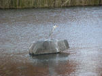 PC070057.JPG