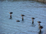 PC070058.JPG