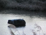 PC070060.JPG