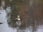 PC050004.JPG