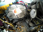 SH340001.JPG