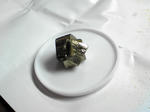 SH340022.JPG