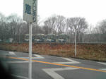 04784cea.JPG