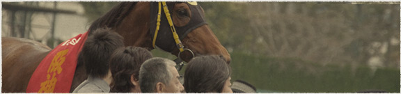 競馬場めぐりJRA阪神競馬場編