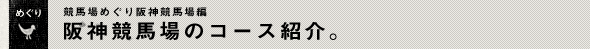 競馬場めぐりJRA阪神競馬場編阪神競馬場のコース紹介