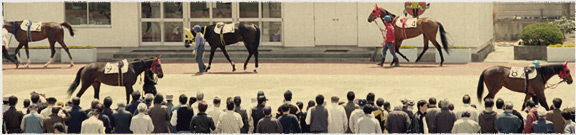 競馬場めぐりJRA園田競馬場編