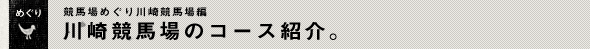 競馬場めぐり川崎競馬場編川崎競馬場のコース紹介