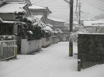 yuki080213.jpg