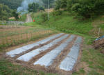 104.jpg
