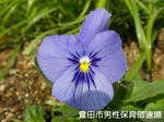 PC130501.jpg